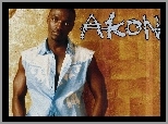 Bezrękawnik, Akon, Koszula