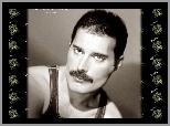 1946-1991, Freddie Mercury