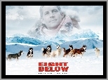 góry, Paul Walker, psy, Eight Below