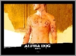 Alpha Dog, Justin Timberlake