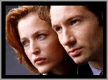 szare oczy, David Duchovny, rude włosy
