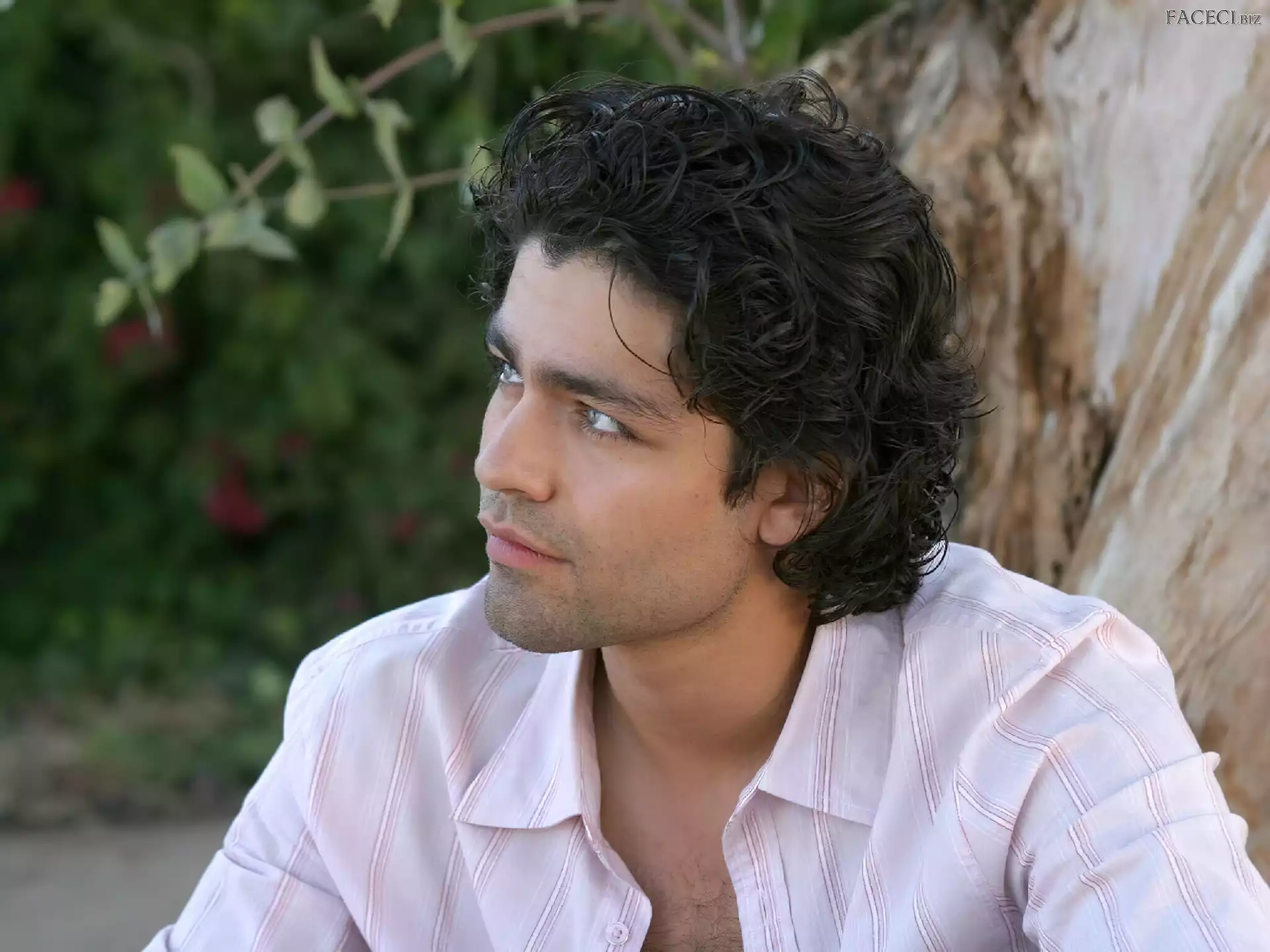 Adrian Grenier