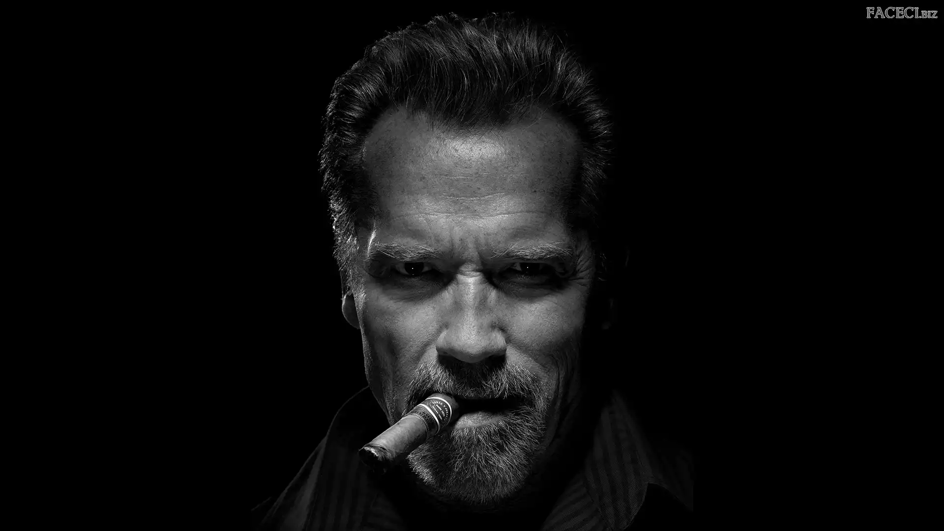 Aktor, Cygaro, Mężczyzna, Arnold Schwarzenegger