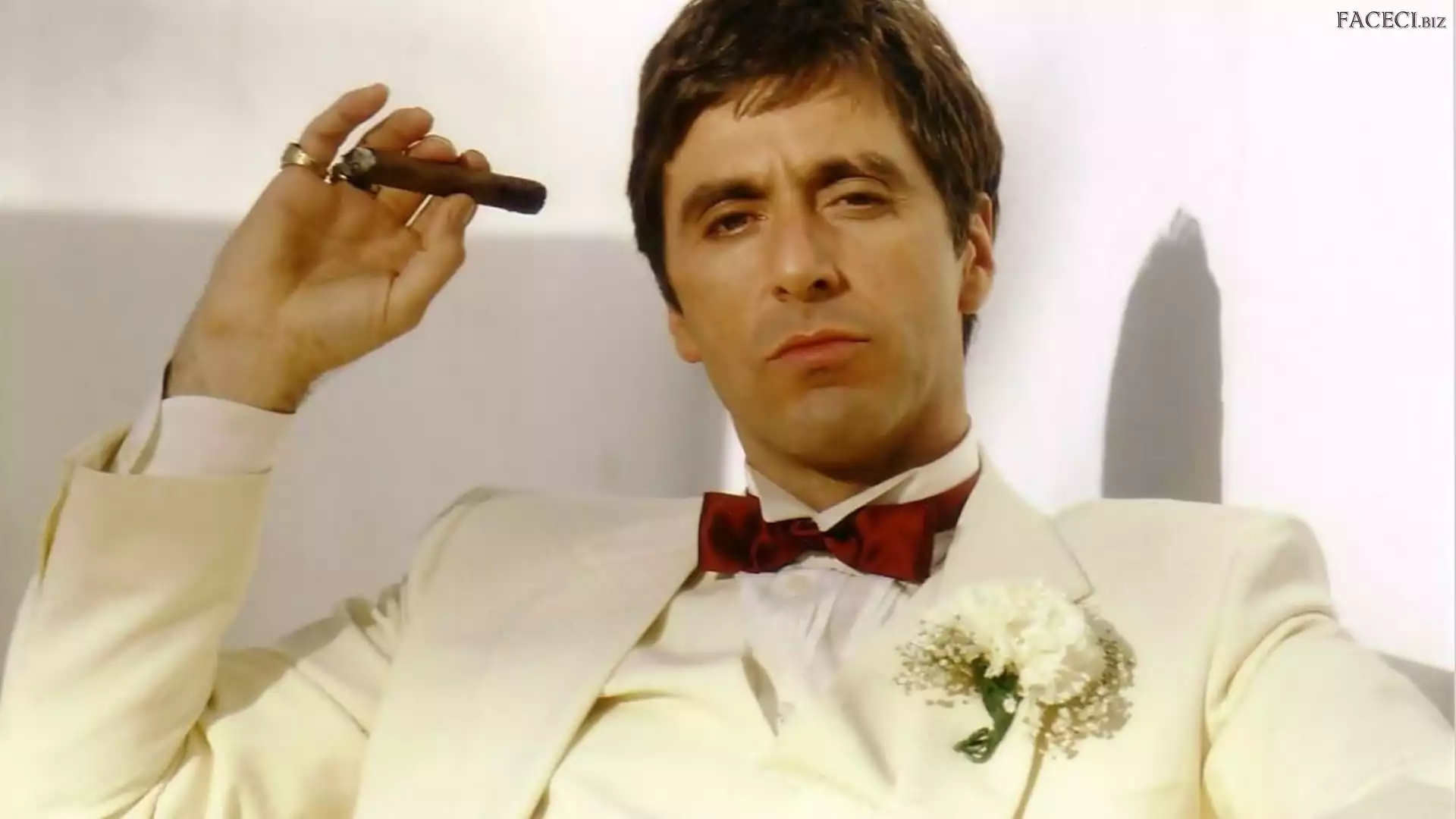 Garnitur, Al Pacino, Mężczyzna, Muszka, Biały, Aktor, Cygaro