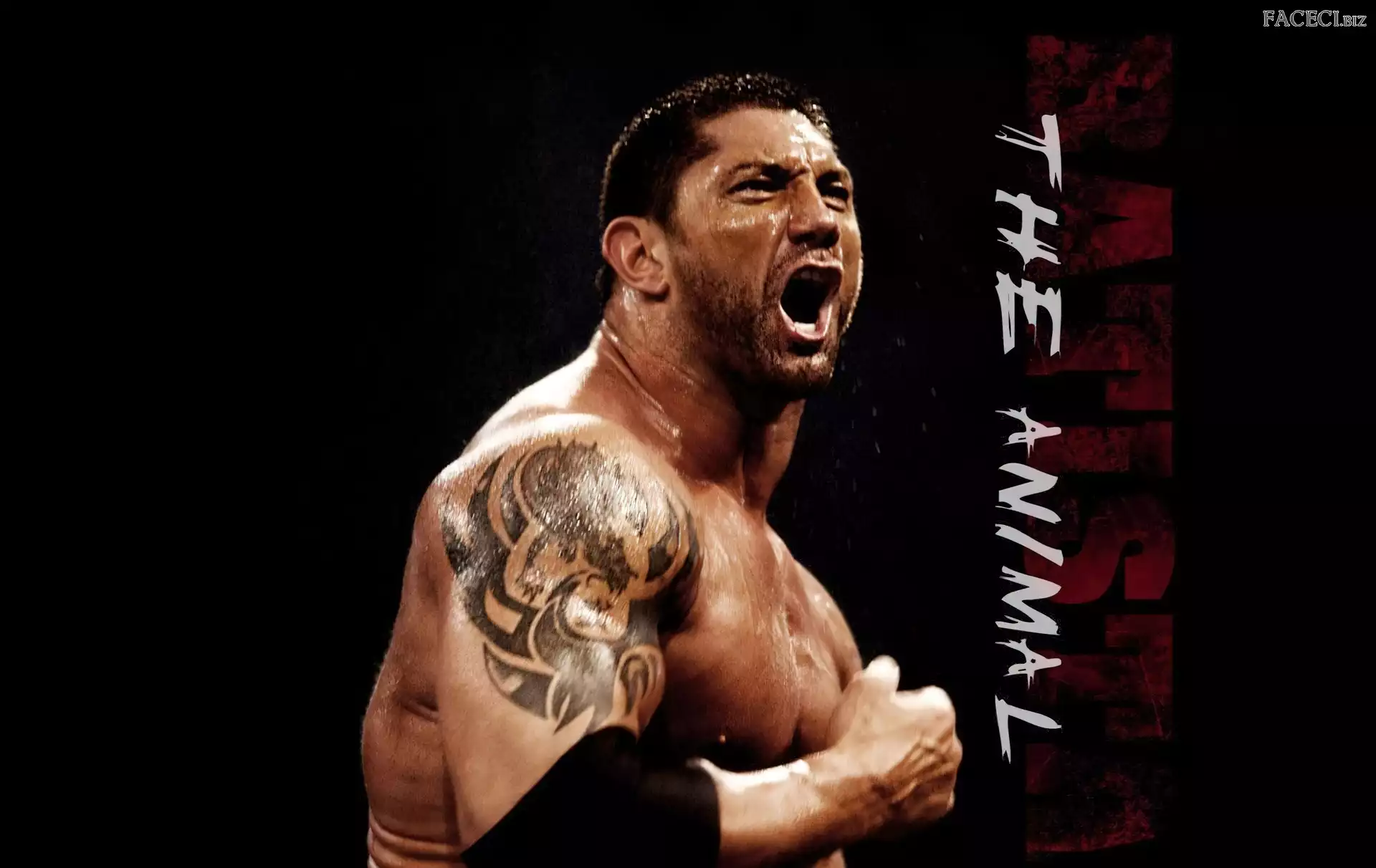 Aktor, Okrzyk, Wrestler, Dave Bautista, Batista