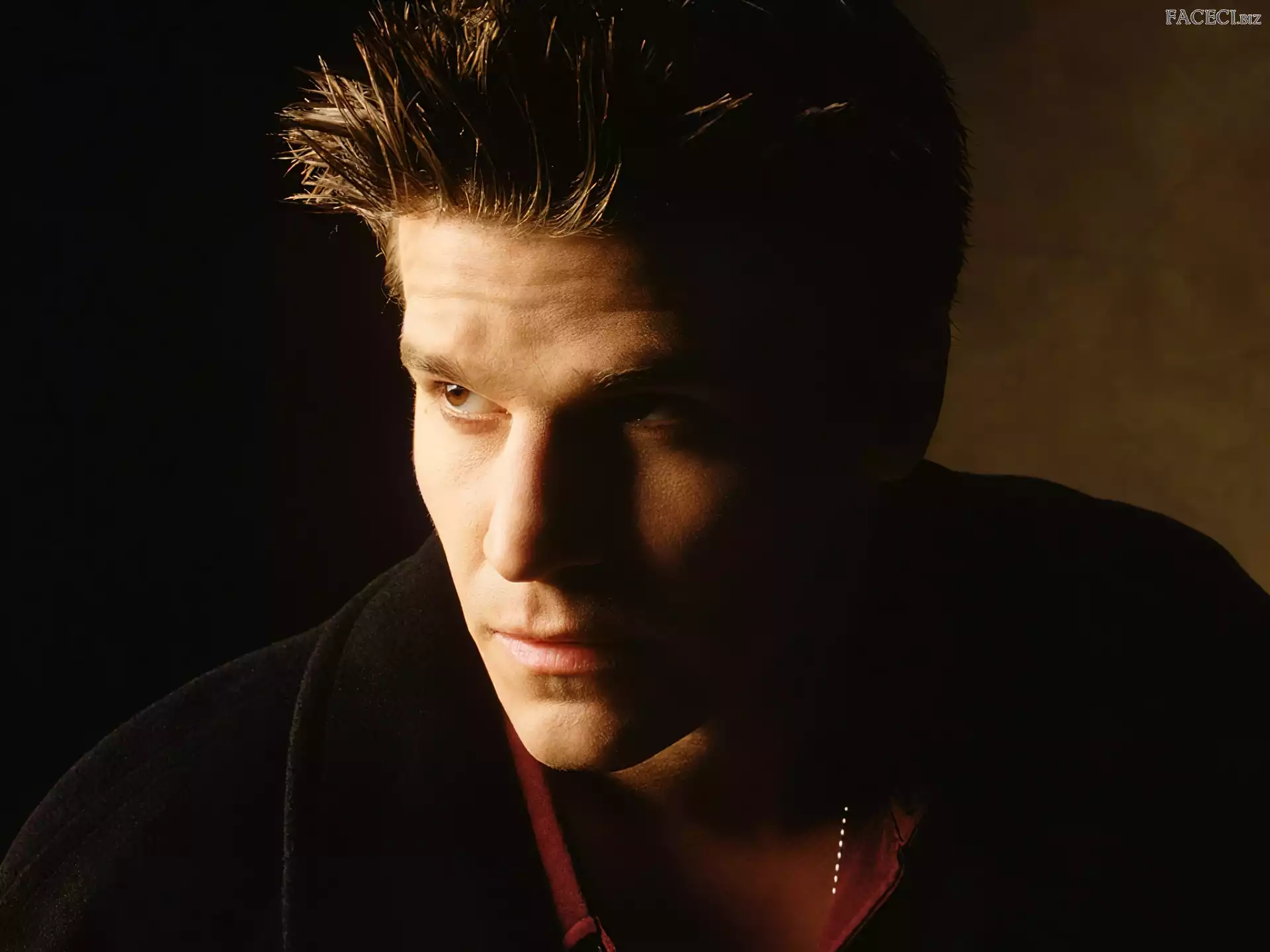 Aktor, David Boreanaz