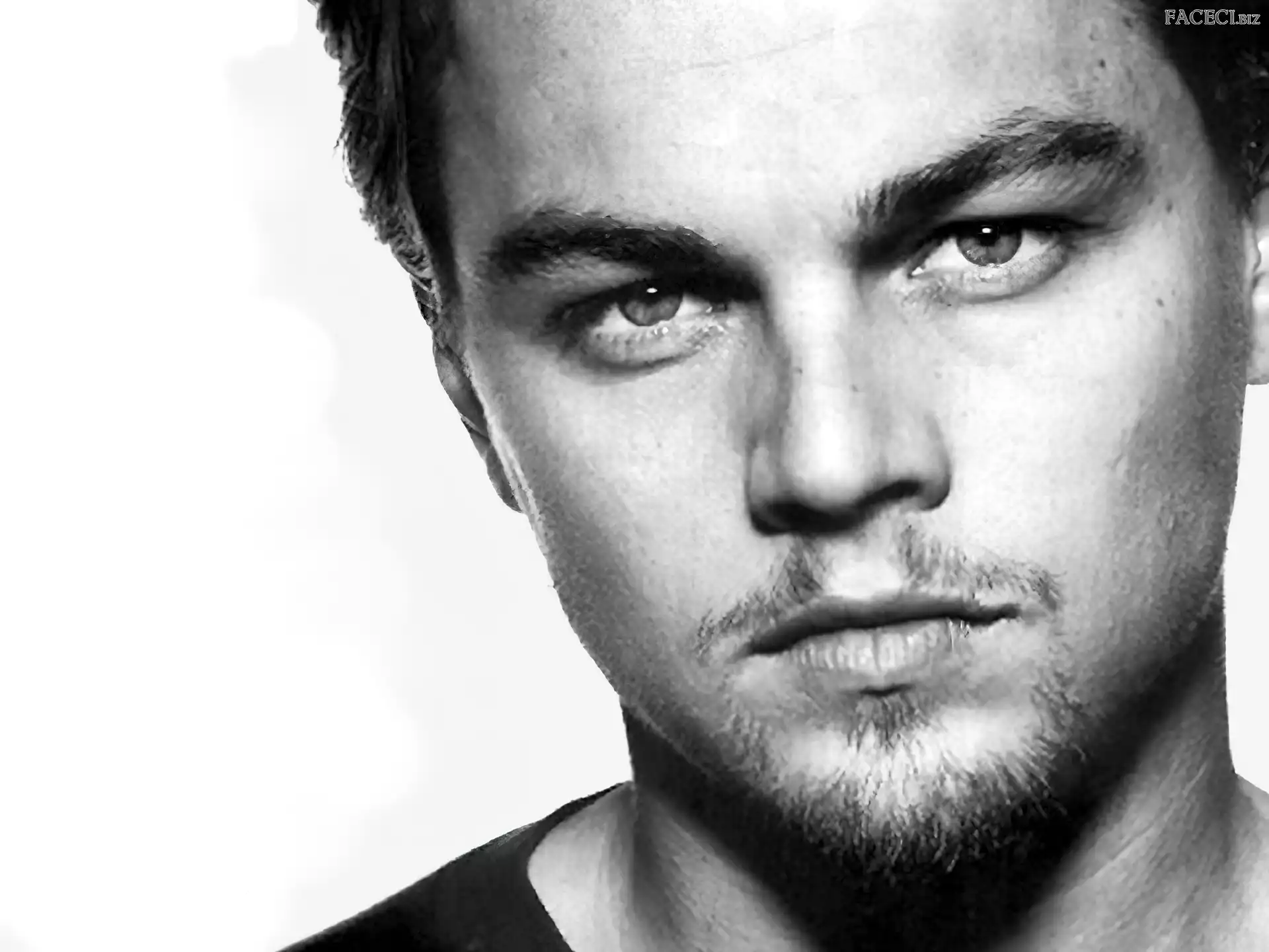 bródka, Leonardo DiCaprio, jasne oczy