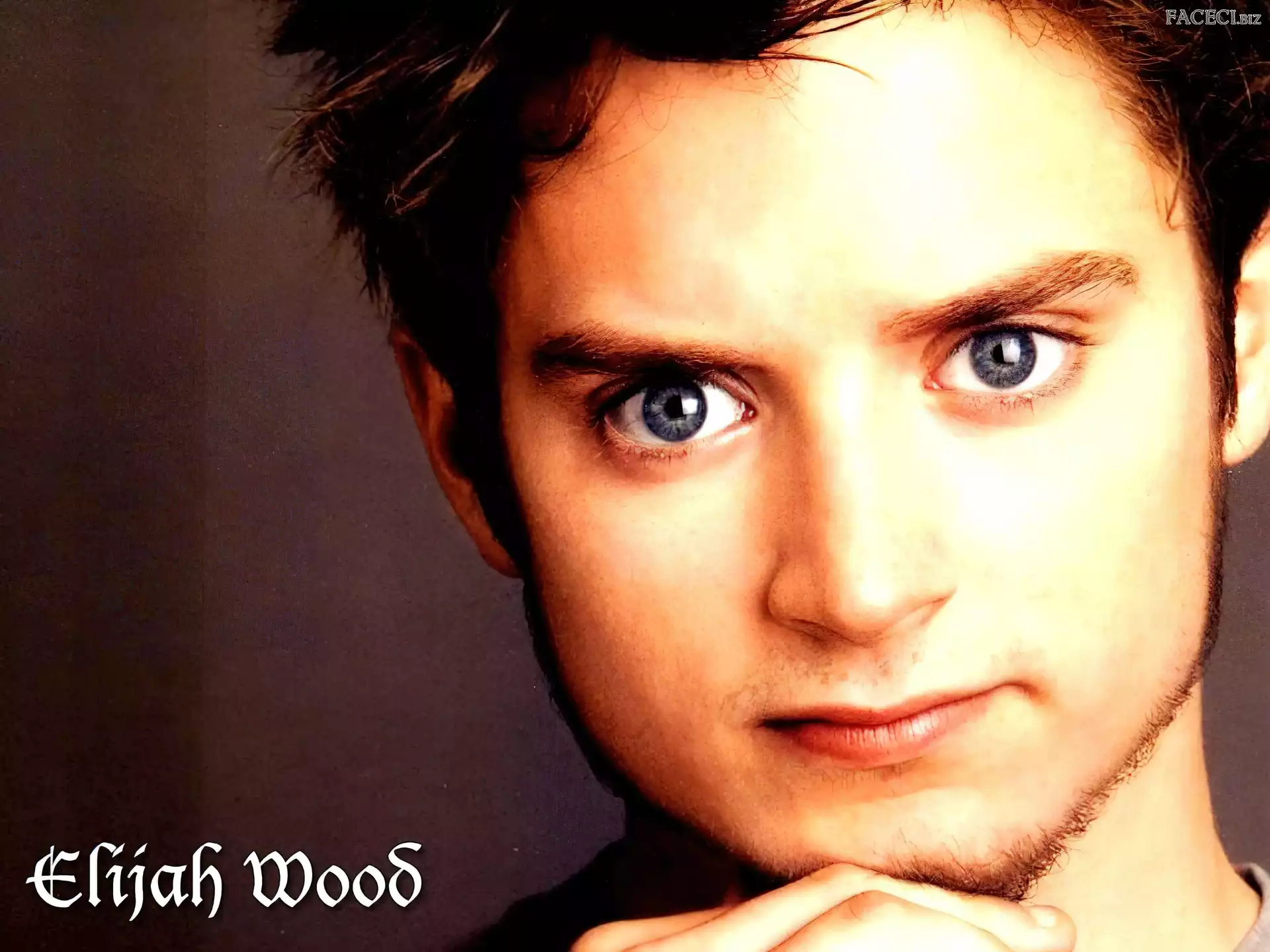 bródka, Elijah Wood, niebieskie oczy