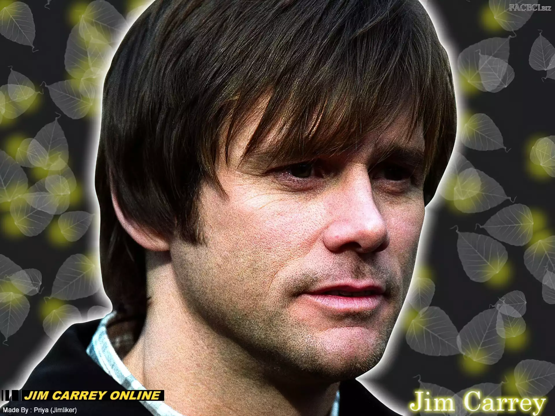 Jim Carrey, grzywka