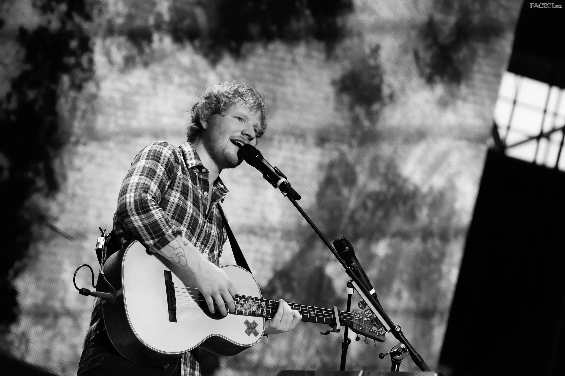 Czarno-białe, Ed Sheeran, Piosenkarz