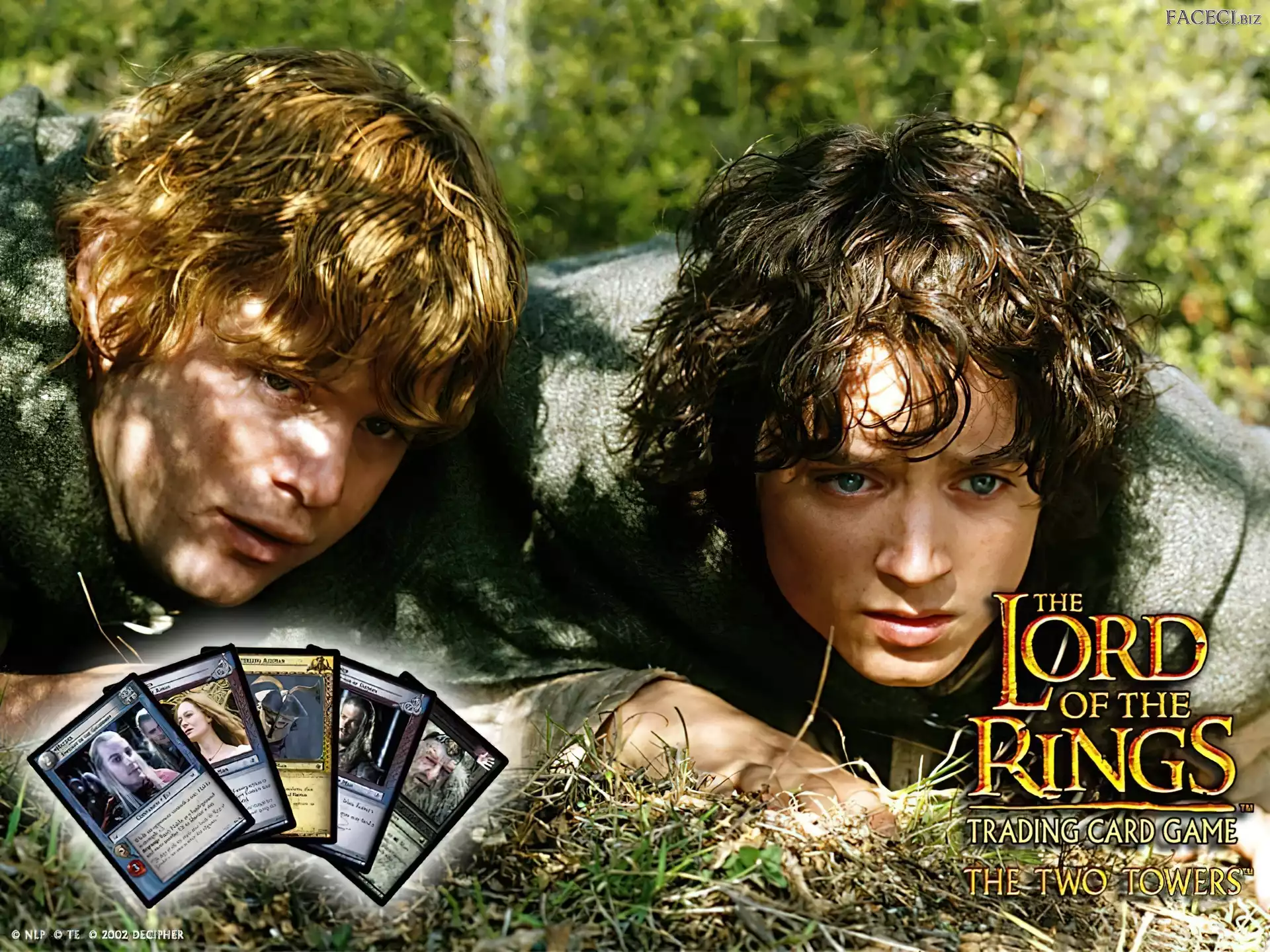 trawa, Sean Astin, karty, The Lord of The Rings, Elijah Wood