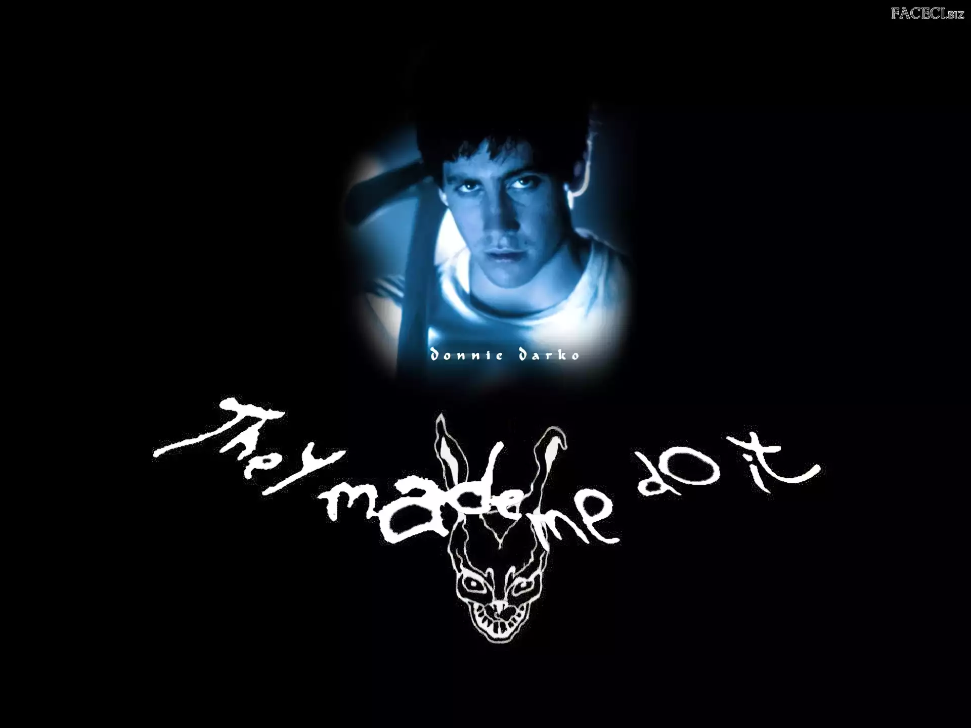 Jake Gyllenhaal, twarz