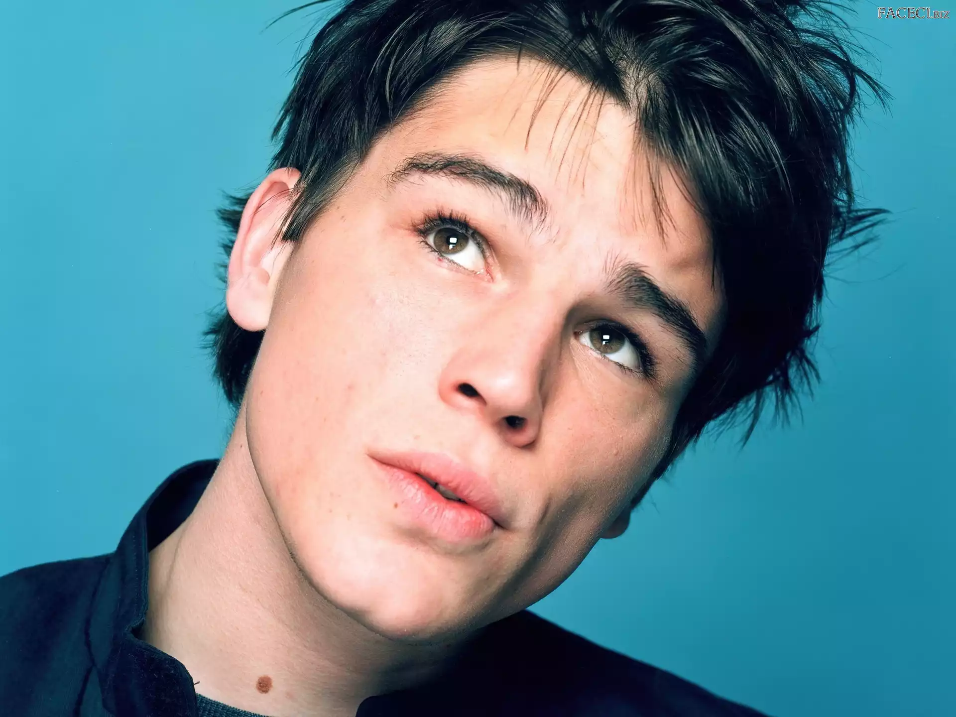 Aktor, Josh Hartnett