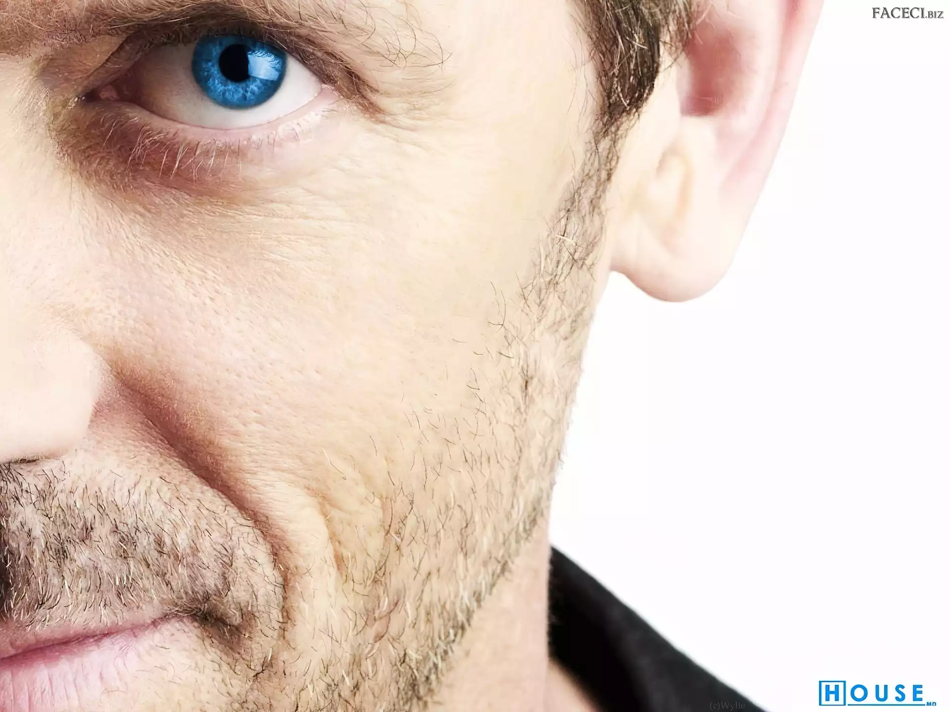 Dr. House, Hugh Lauriego, Oczy, Niebieskie