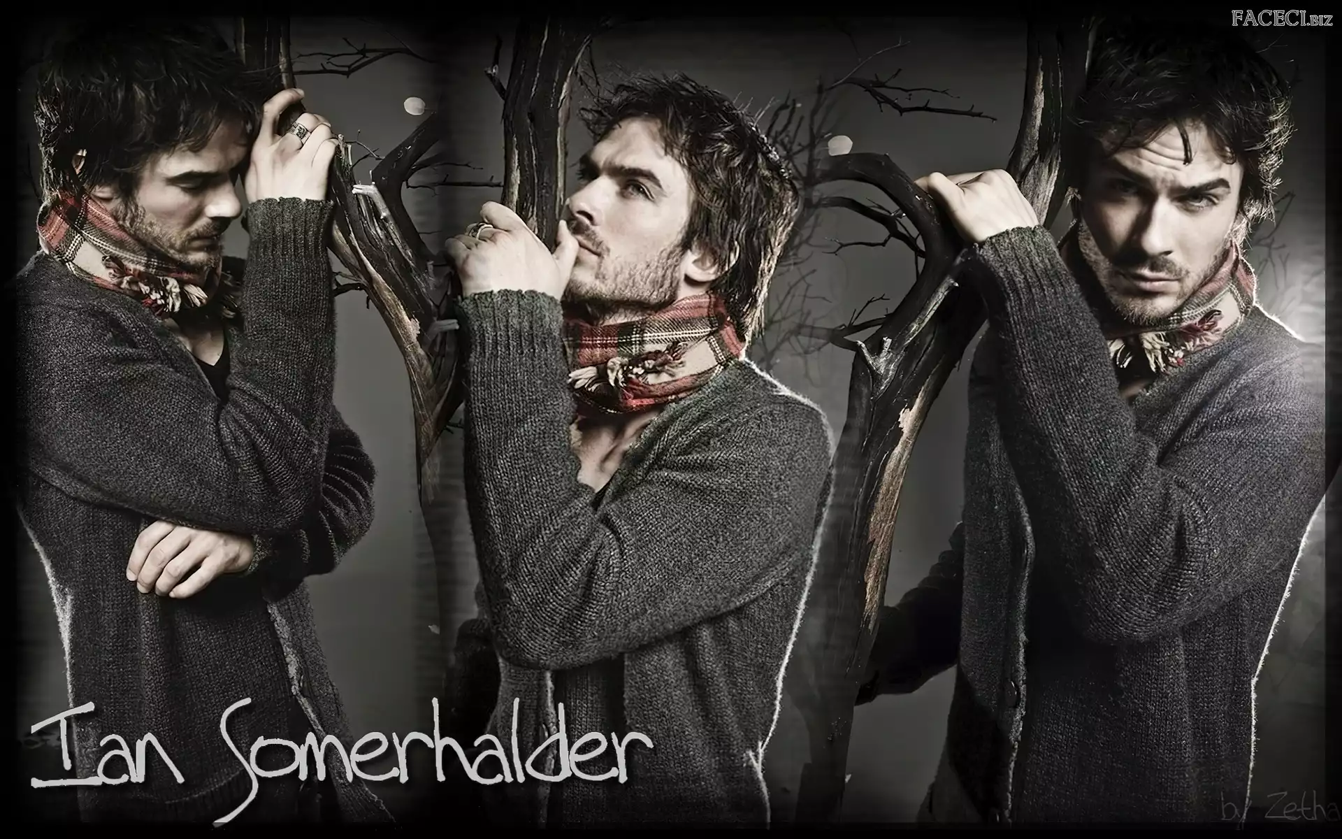 The Vampire Diaries, Ian Somerhalder, Pamiętniki wampirów
