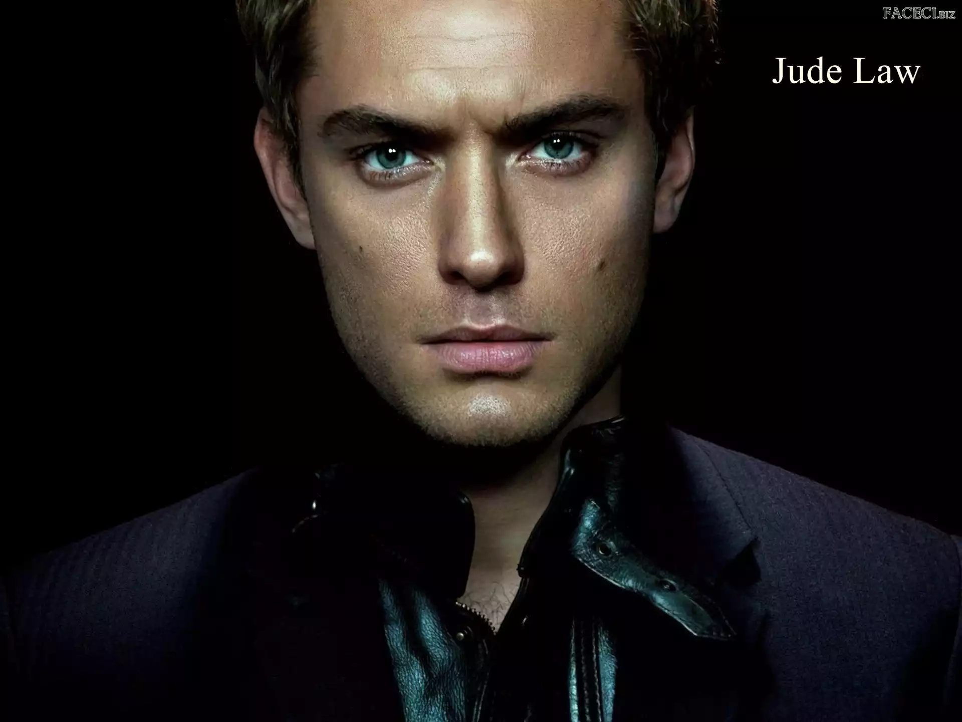 Jude Law, Aktor