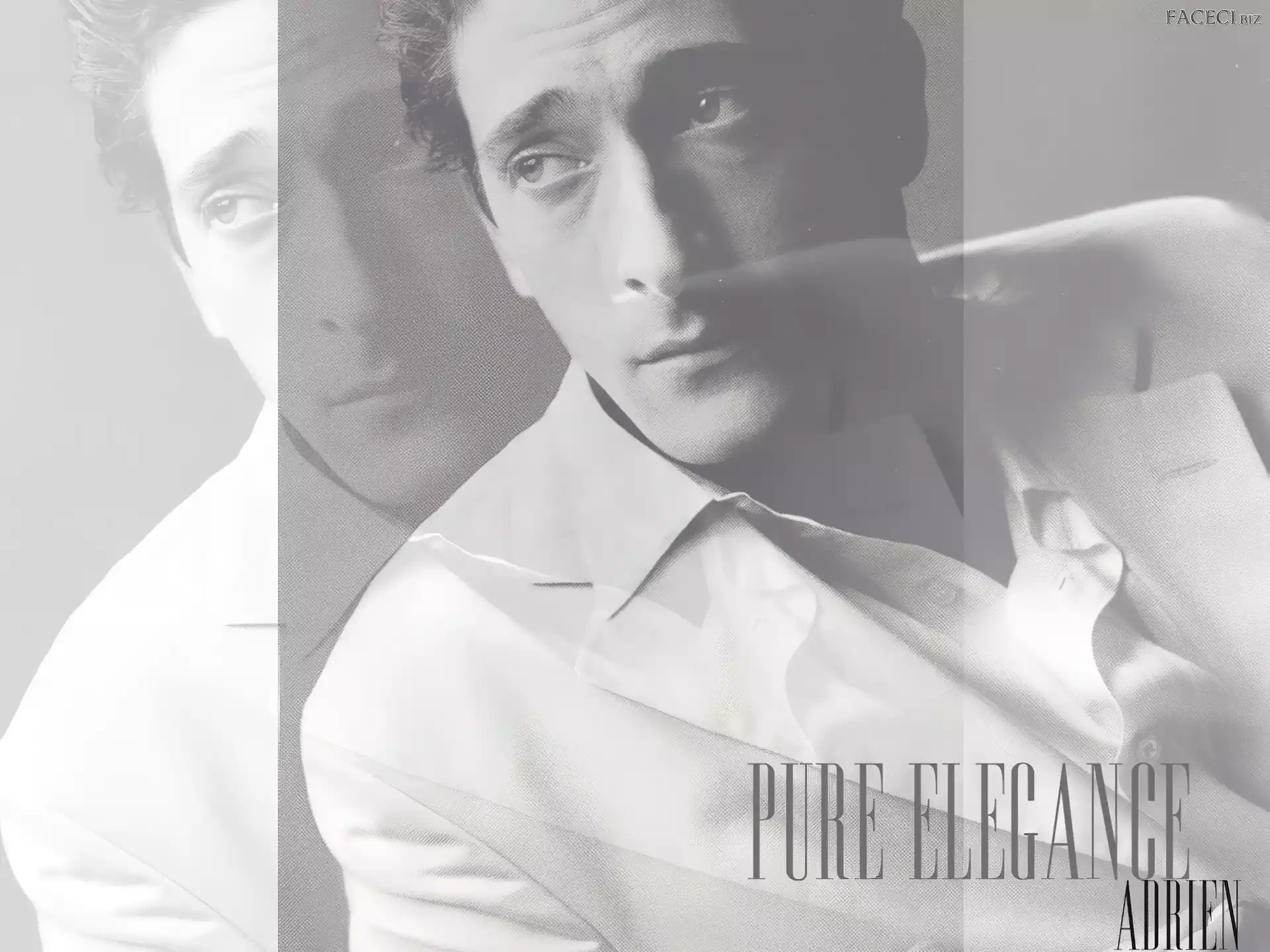 koszula, Adrien Brody, biała