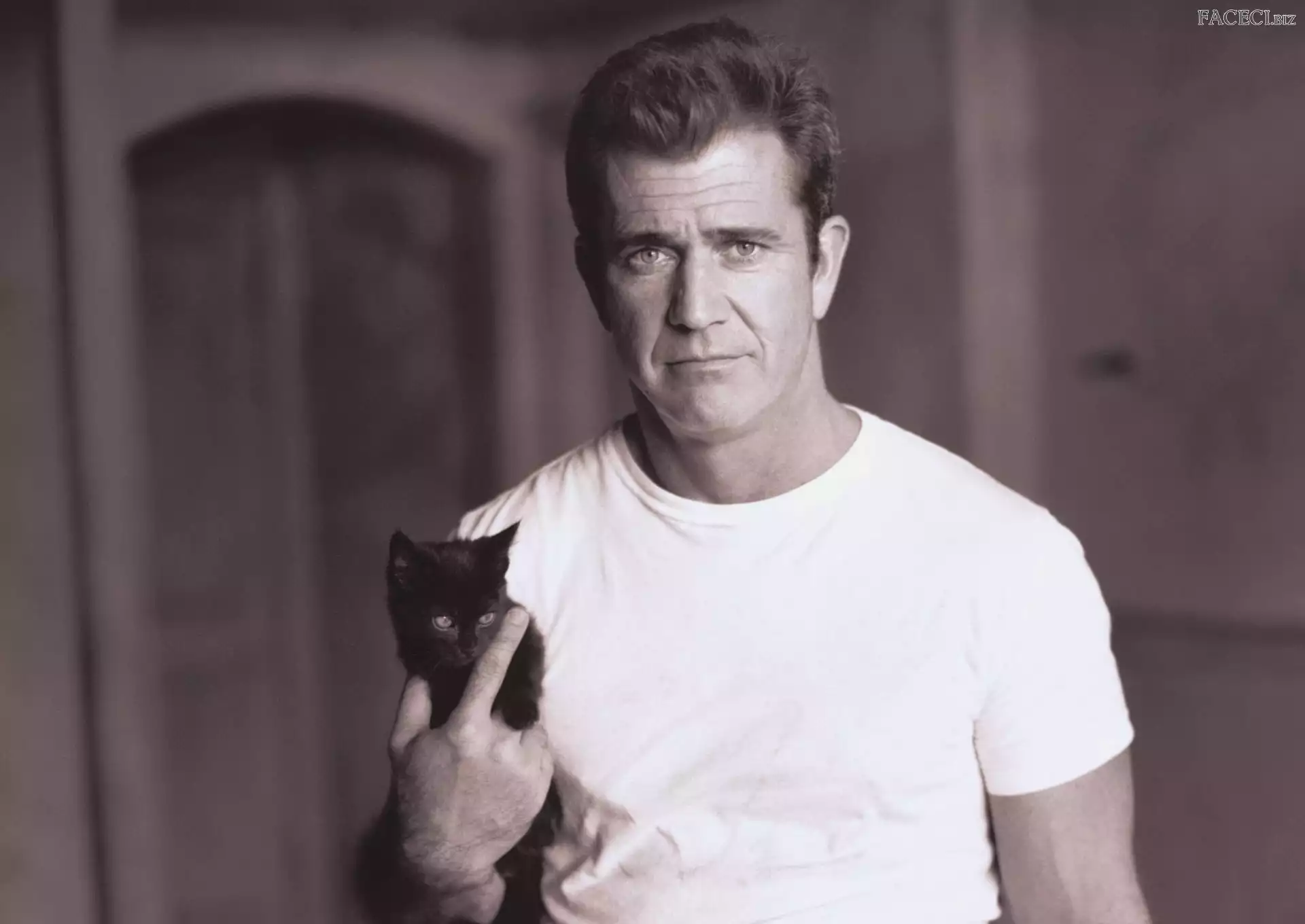 Kot, Mel Gibson, Aktor