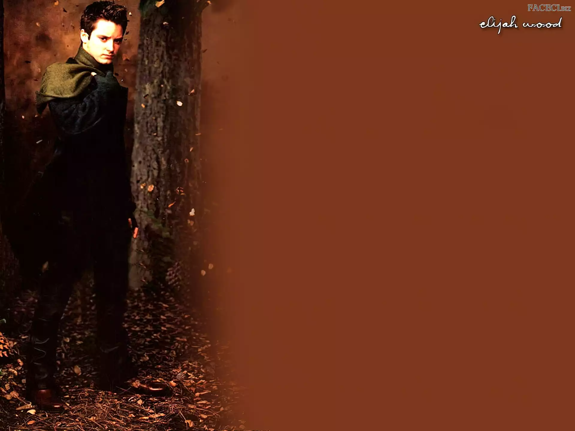 liście, Elijah Wood, drzewo