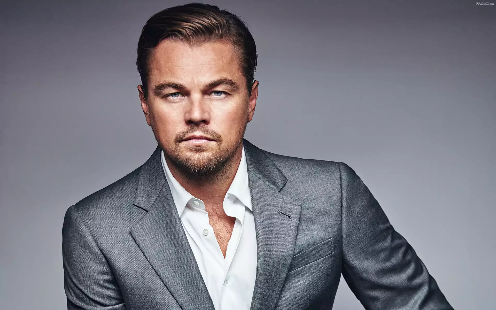 Marynarka, Leonardo DiCaprio, Szara