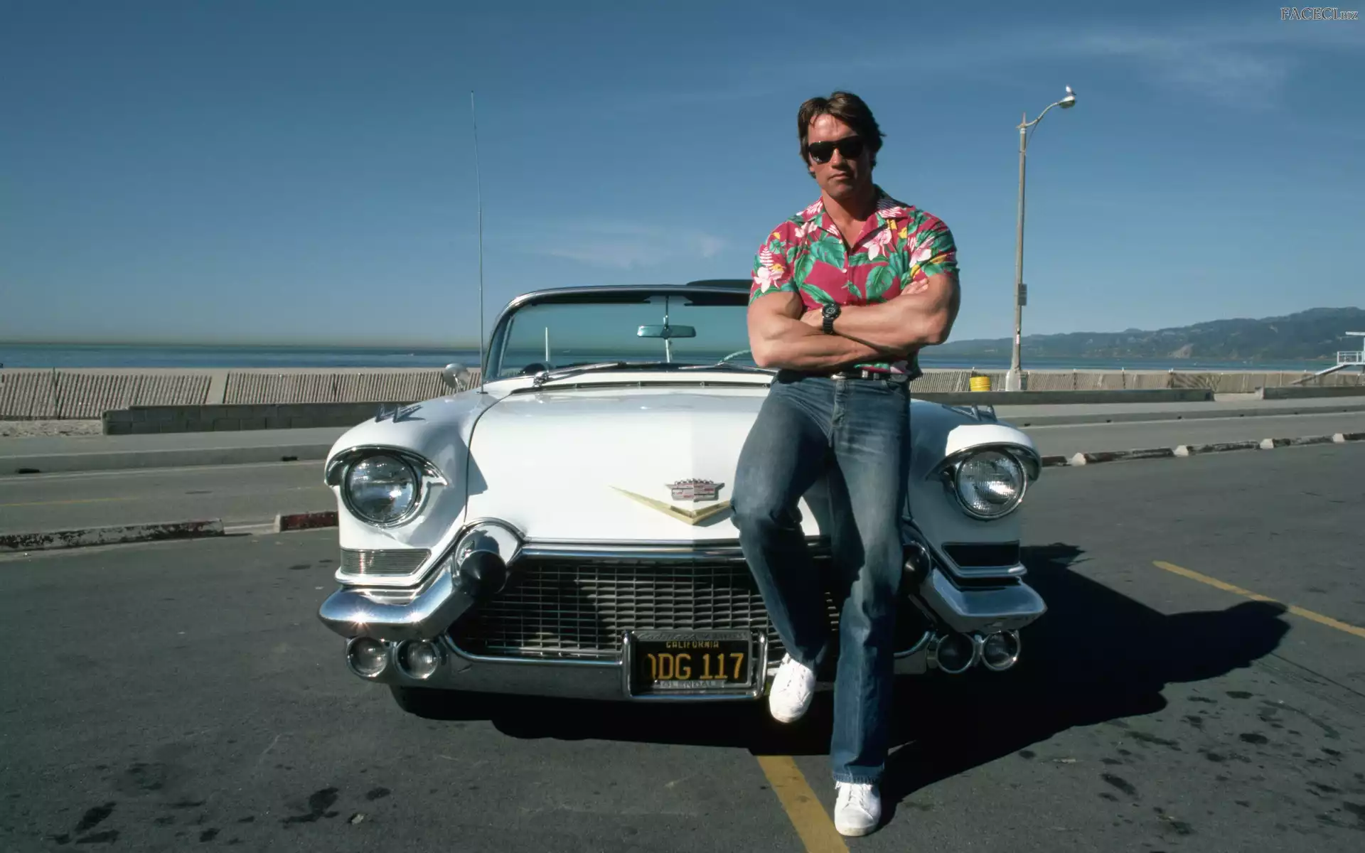 Parking, Arnold Schwarzenegger, Samochód