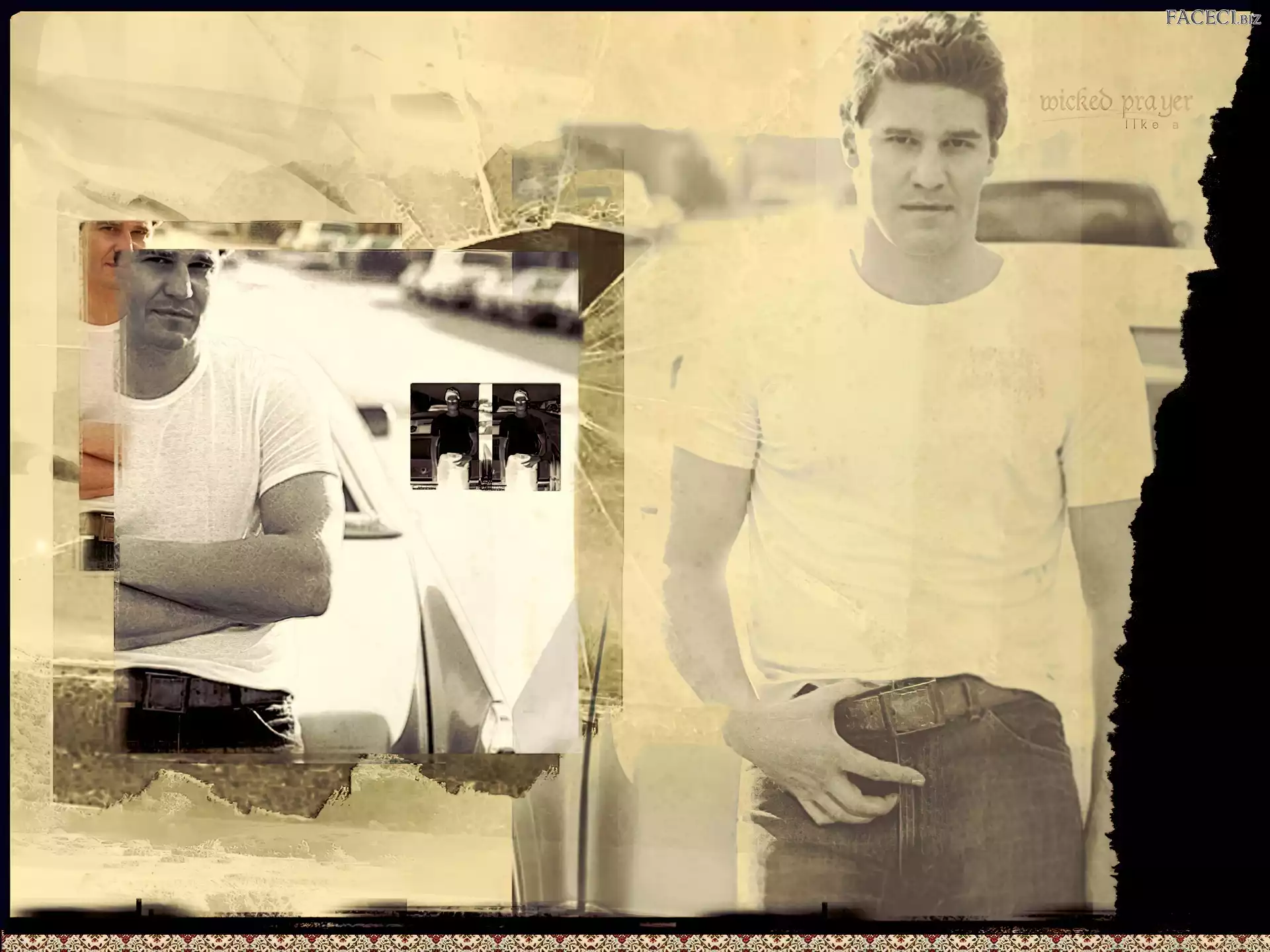 pasek, David Boreanaz, biały t-shirt