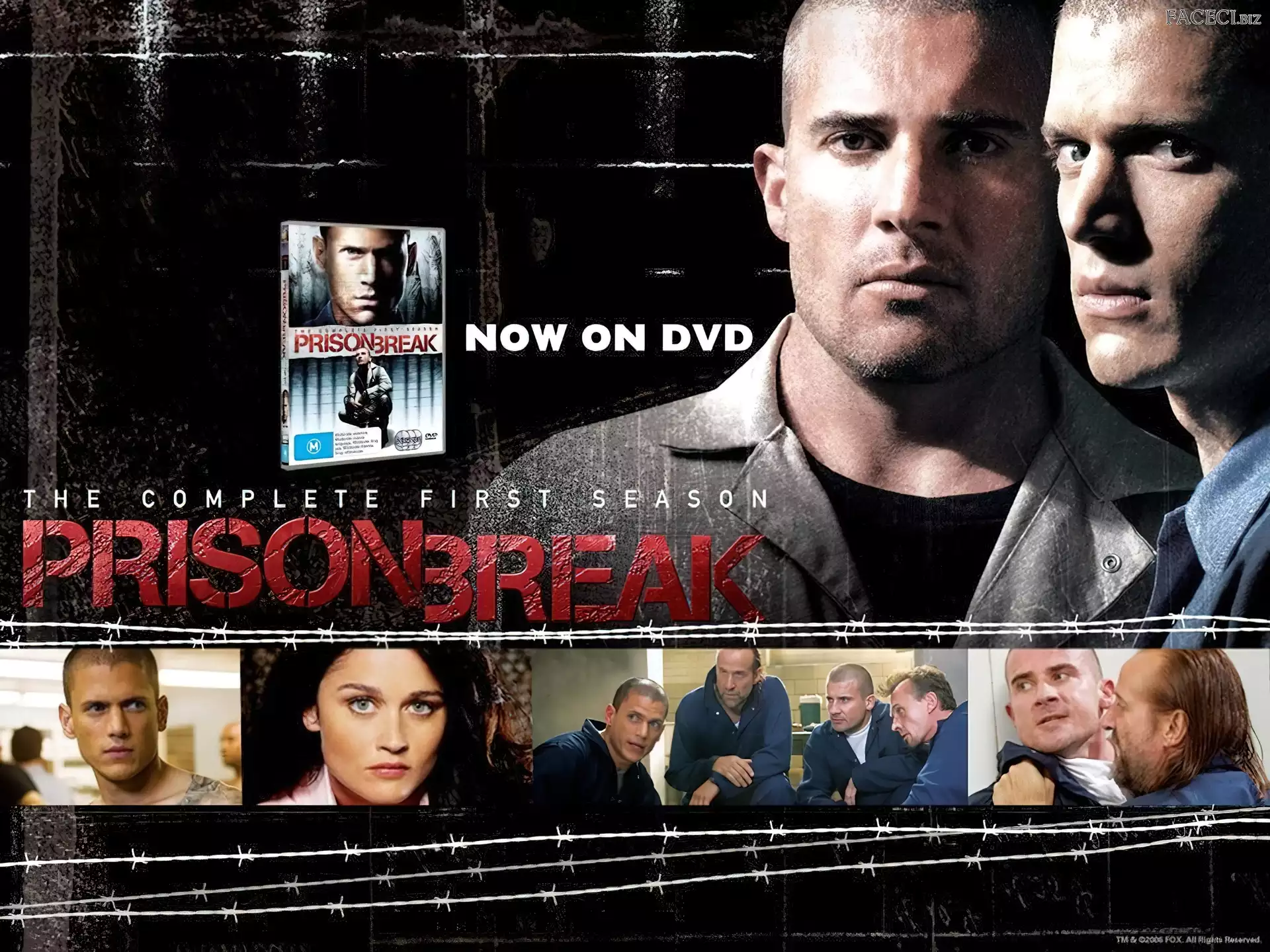 Skazany na śmierć, zdjęcia, Robin Tunney, Wentworth Miller, Prison Break, Dominic Purcell