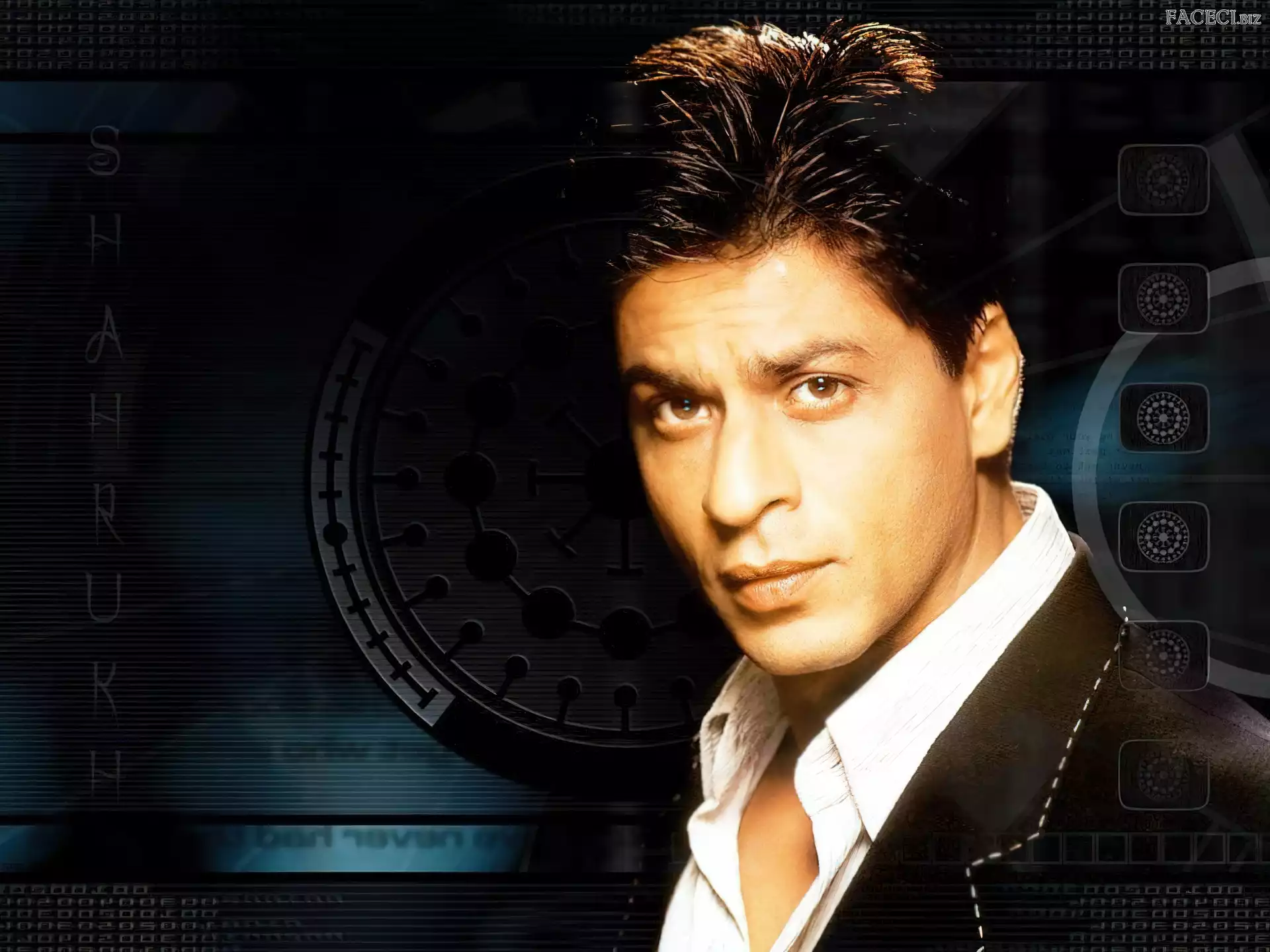 Shahrukh Khan, Aktor, Indyjski