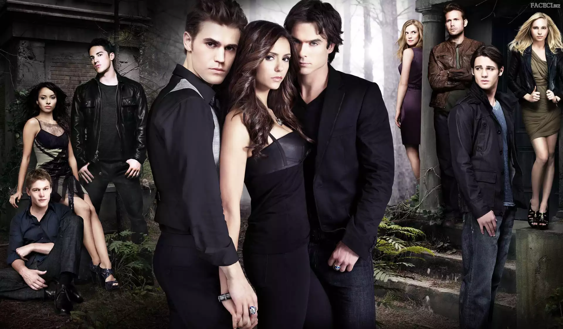 The Vampire Diaries, Bohaterowie, Ian Somerhalder, Nina Dobrev, Pamiętniki wampirów, Paul Wesley
