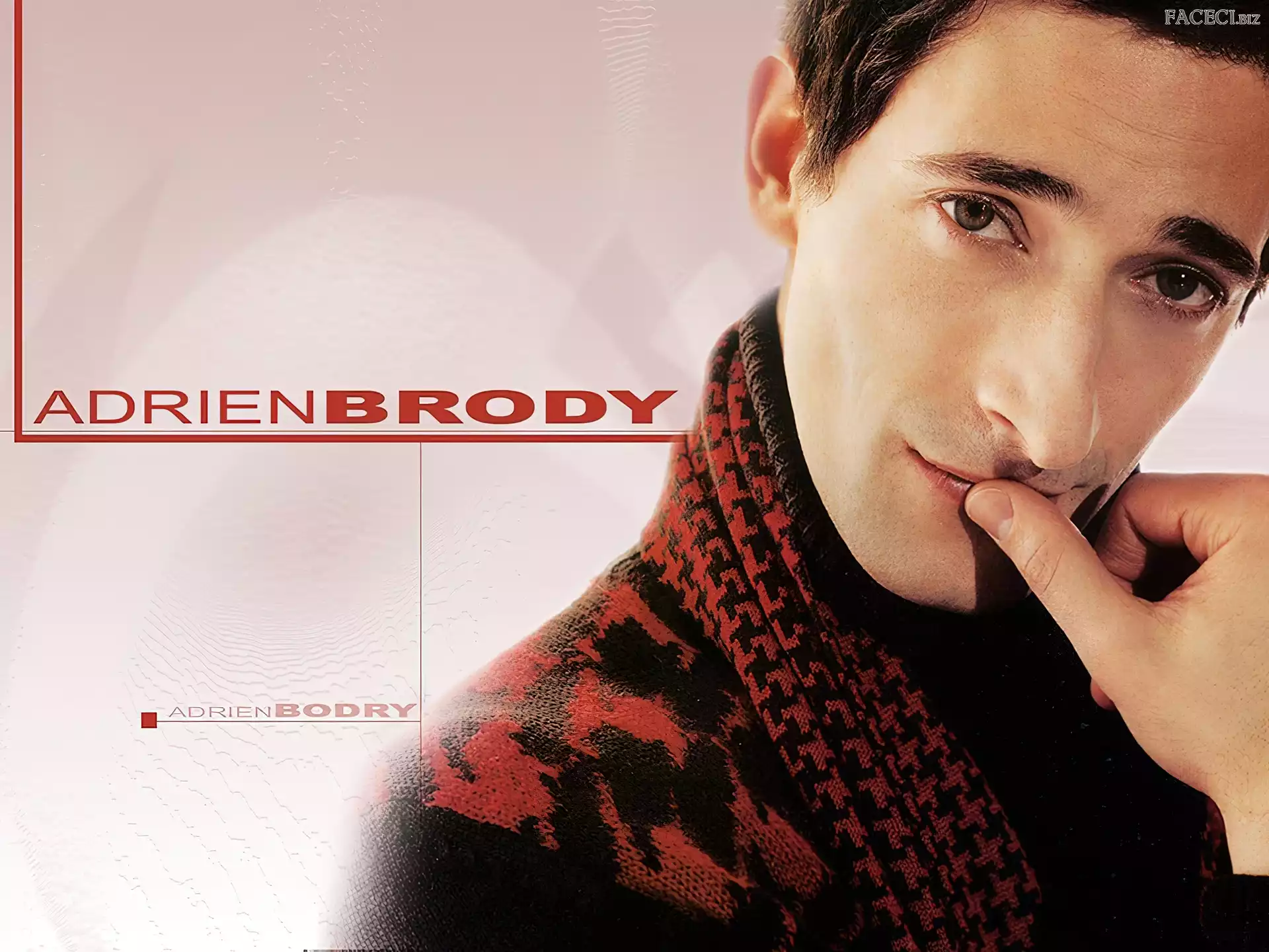 szalik, Adrien Brody, sweter