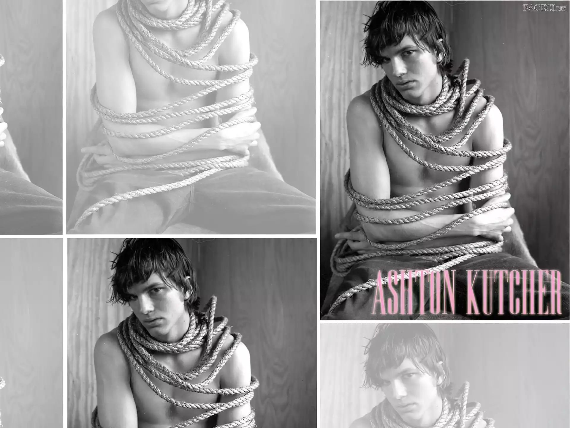 włosy, Ashton Kutcher, lina