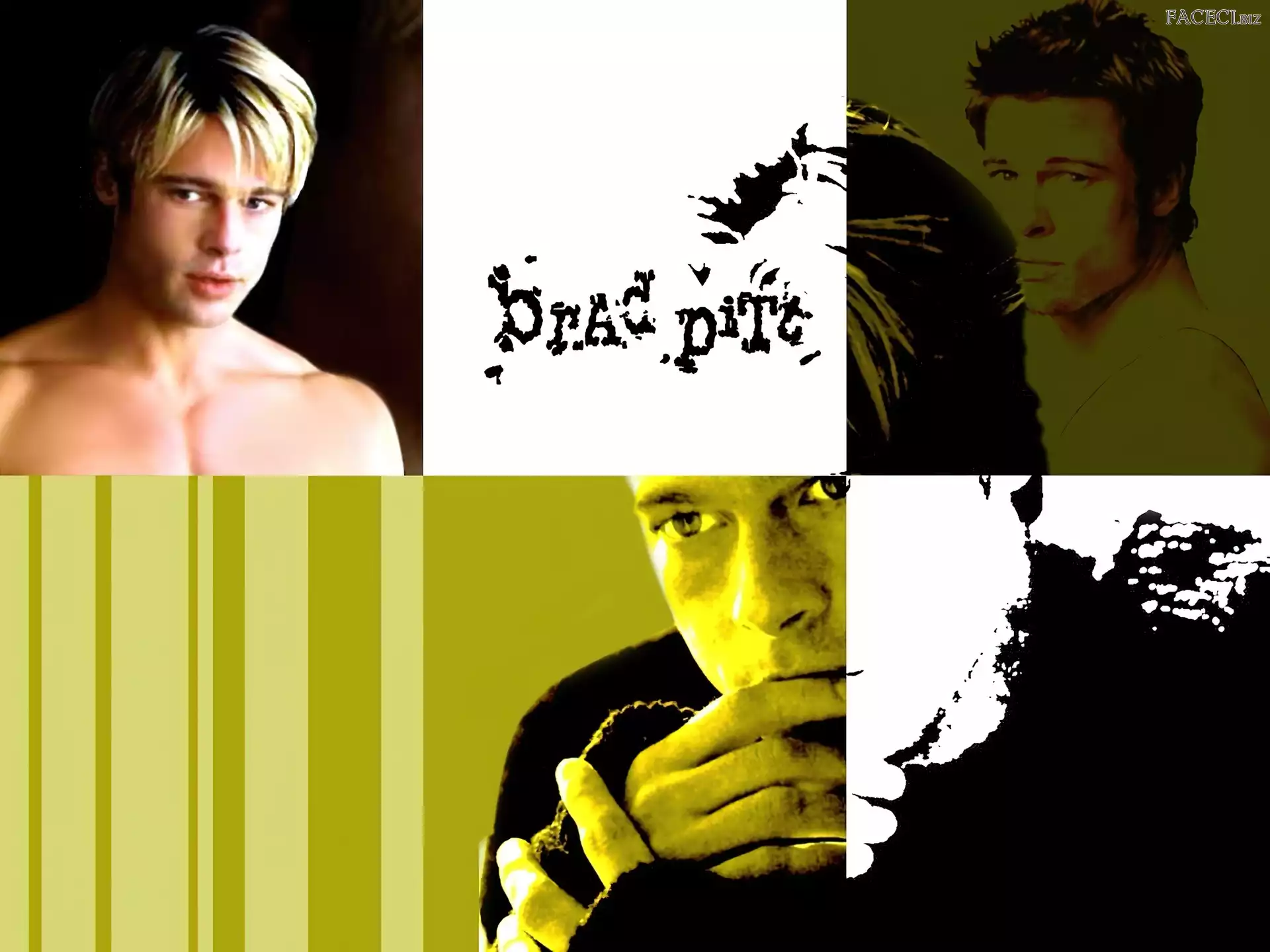 włosy, Brad Pitt, jasne