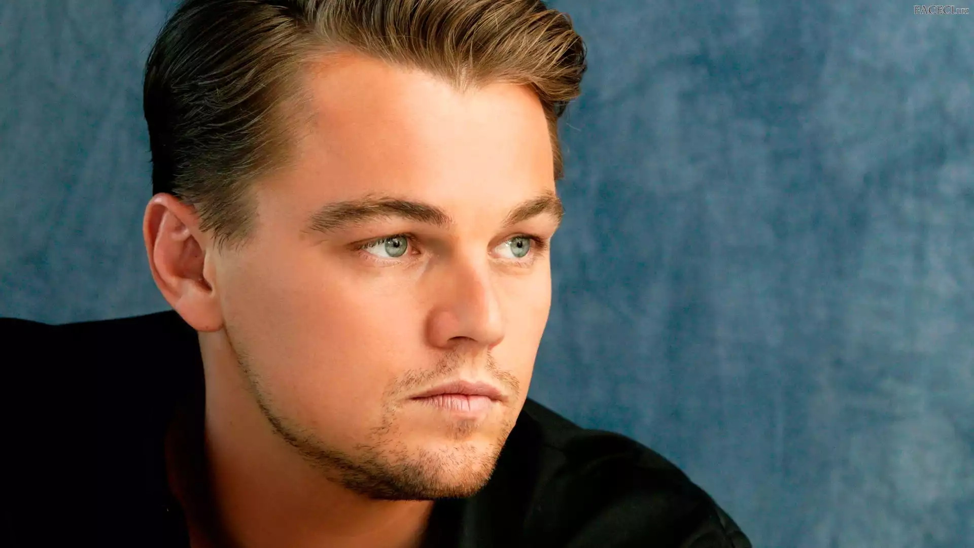 Zarost, Koszula, Aktor, Leonardo DiCaprio, Czarna