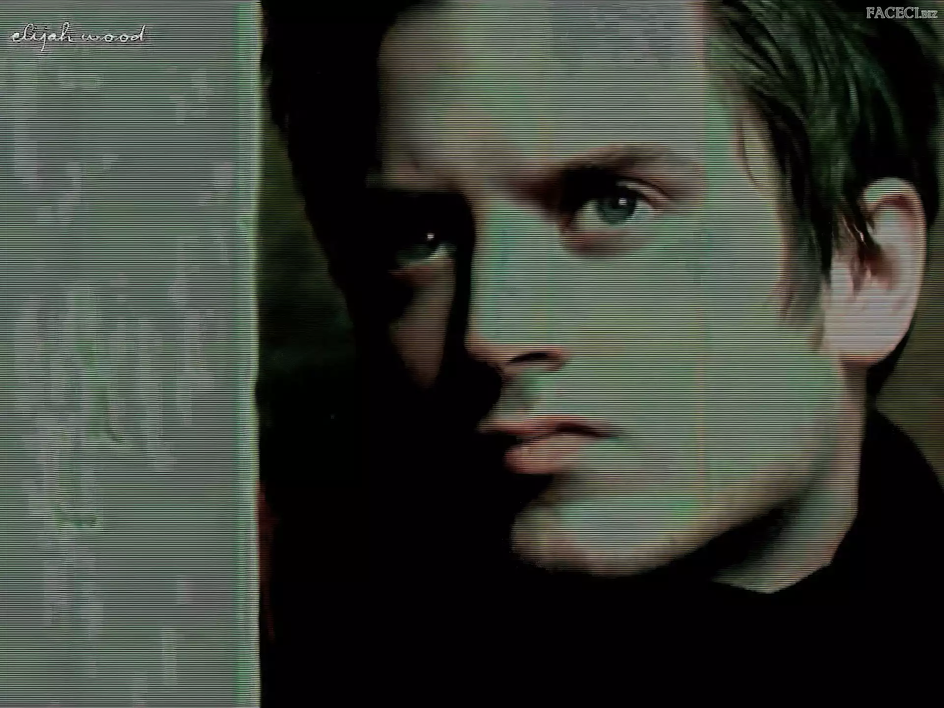 zielone oczy, Elijah Wood, ciemny strój